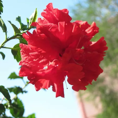 La Tavernetta 3* Masainas