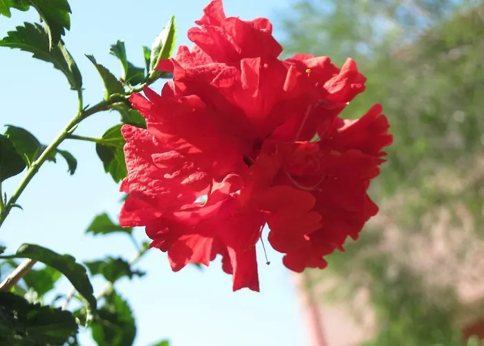 La Tavernetta 3* Masainas